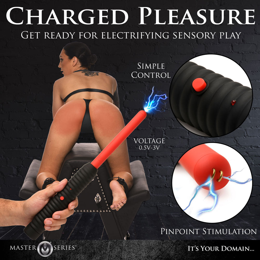 Master Series  Electrosex BDSM Spark Rod