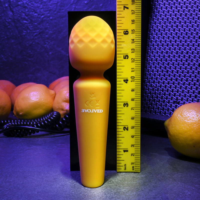 Evolved SUNSHINE - 17 cm USB Rechargeable Massage Wand