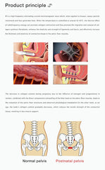 Vagina Tightening & Health Device 002